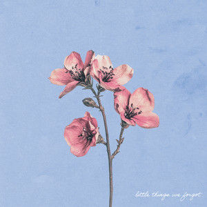 little things we forgot