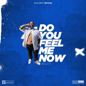 Do You Feel Me Now (Explicit)