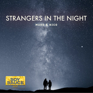 Strangers in the night