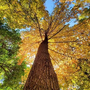 走进明天的幸福
