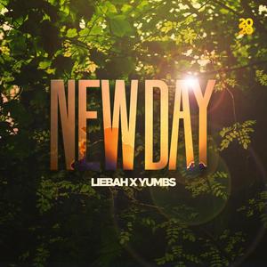 New Day(Gotta Get Up)