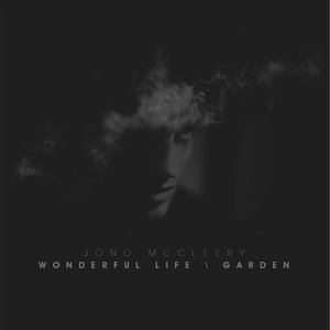 Wonderful Life