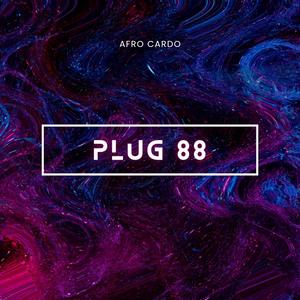 Plug 88