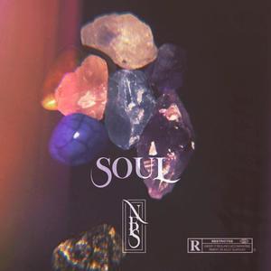 Soul (feat. Shaquille) [Explicit]