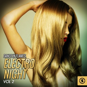 Dance in Flames: Electro Night, Vol. 2 (Explicit)