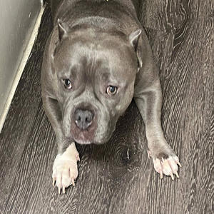 Thug Love (Radio Edit|Explicit)