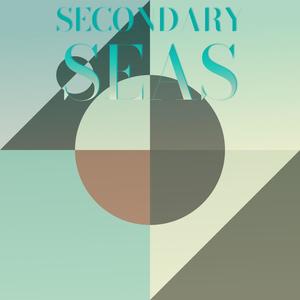 Secondary Seas