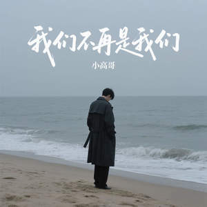 我们不再是我们
