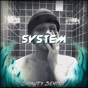 System (Explicit)