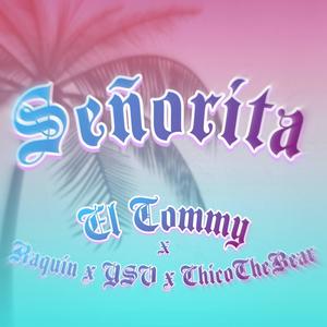 Señorita (feat. Raquin, YSV & Chico The Bear)