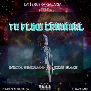 Flow Criminal (feat. Wacka Renovado) [Explicit]