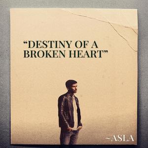 Destiny Of A Broken Heart