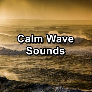 Calm Wave Sounds