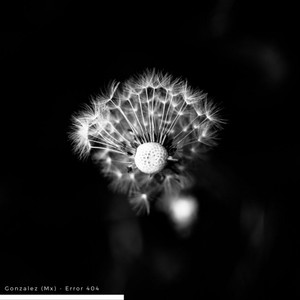 Error 404 (Original Mix)