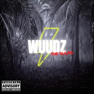 Wuudz - Fancy (feat. Beezy) (Explicit)