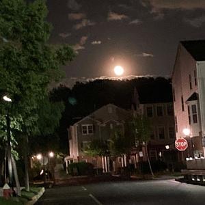 Sierra practice (Explicit)