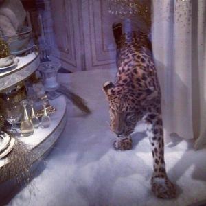 SSS (Triple S) (feat. sisucastle & sixhunnedk) (Explicit)