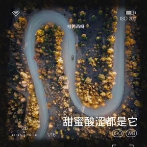已经结束了吗封面