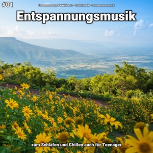 Entspannungsmusik, Pt. 29