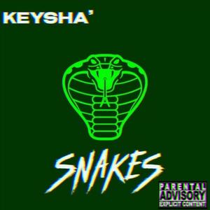 SNAKES (Explicit)