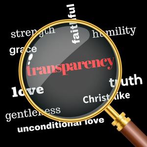 Transparency (feat. Holy Gabbana, Young C & Tanikka Charrae)
