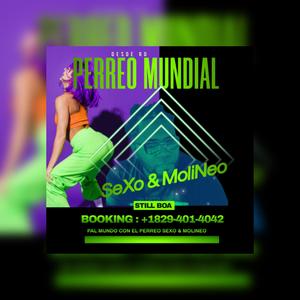 Sexo y Molineo (PERREO) (Explicit)