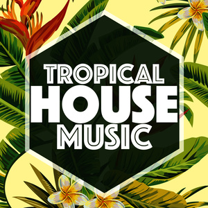 Tropical House Music - Lizard