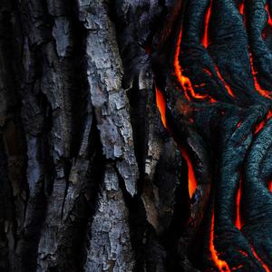 Son of Man (feat. Gabriel G.) (Demo)