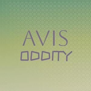 Avis Oddity