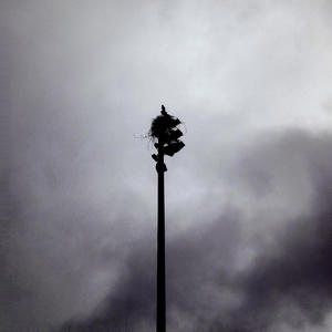 Brave New World (Explicit)