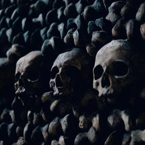 Animal - 2Toxic (Explicit)