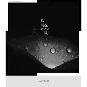 心向光明