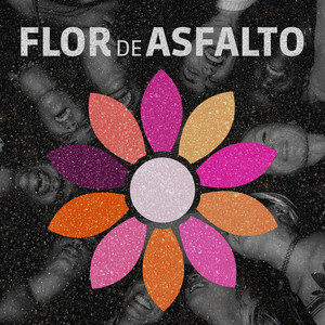 Flor de Asfalto