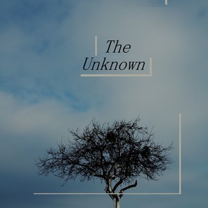 The Unknown(feat. Ember US)