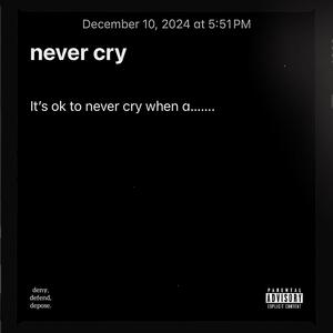 never cry (Explicit)