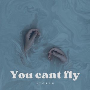 You Cant Fly (Explicit)