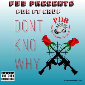Hate me or love me (feat. chvp) (Explicit)
