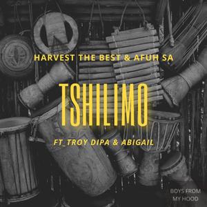 Tshilimo (feat. Troy dipa & Abigail)