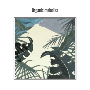 Organic Melodies（有机的旋律们）