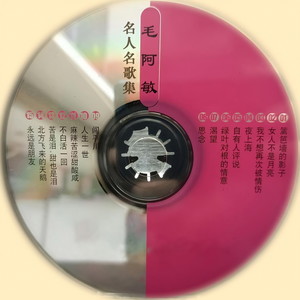 毛阿敏 - 闯平川 (伴奏)