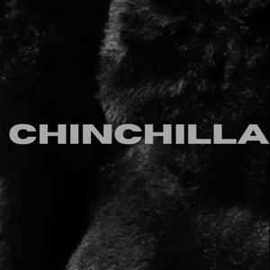 Chinchilla (feat. illy - Ace)