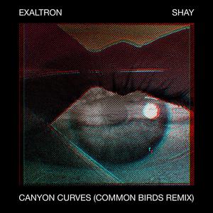 Canyon Curves (feat. Exaltron & Shay) [Common Birds Remix]