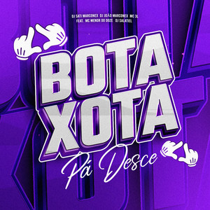 Bota Xota Pá Desce (feat. MC MENOR DO DOZE & DJ Salatiel) [Explicit]