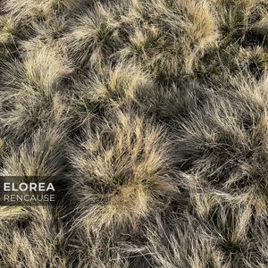 Elorea