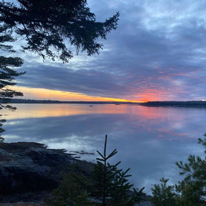 Poison Apple (feat. Matrix/Bendin beats) (Explicit)