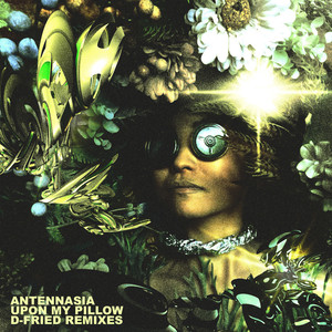 Upon My Pillow (D-Fried Stolen Moments Remix)