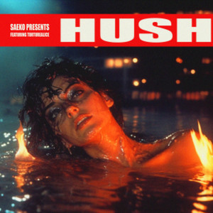 HUSH (feat. torturealice) [Explicit]