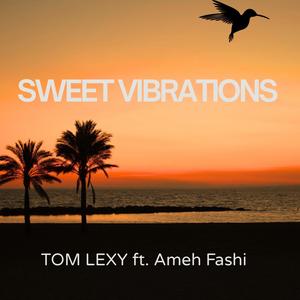 Sweet Vibrations (feat. Ameh Fashi)