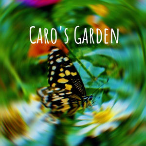 Caro's Garden