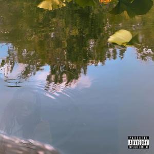 Reflect (Explicit)